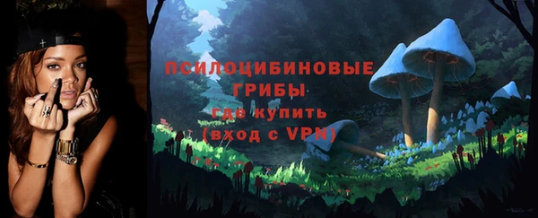 ПСИЛОЦИБИНОВЫЕ ГРИБЫ Верея