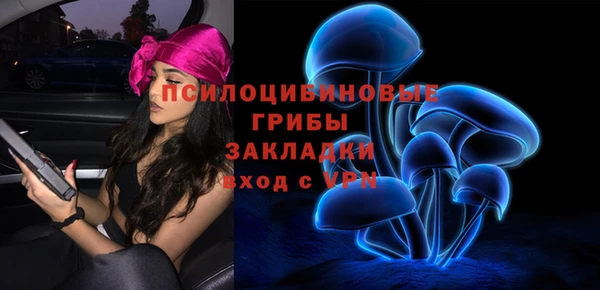 не бодяженный Бородино