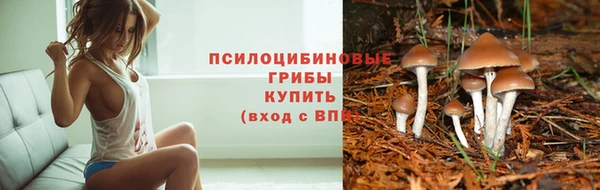 ПСИЛОЦИБИНОВЫЕ ГРИБЫ Верея