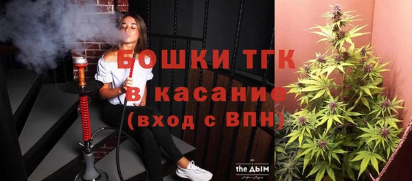 ПСИЛОЦИБИНОВЫЕ ГРИБЫ Верея