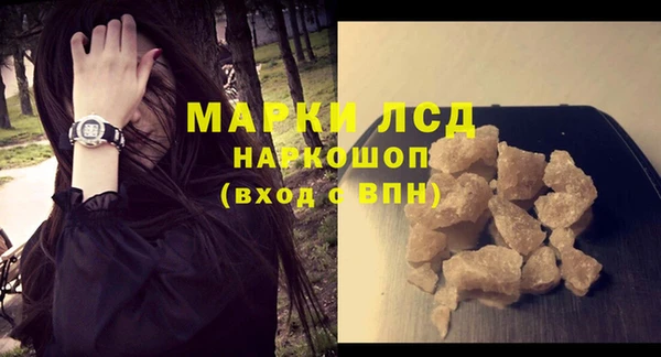 ПСИЛОЦИБИНОВЫЕ ГРИБЫ Верея