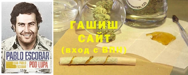 ПСИЛОЦИБИНОВЫЕ ГРИБЫ Верея