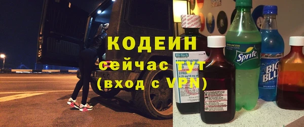 ПСИЛОЦИБИНОВЫЕ ГРИБЫ Верея