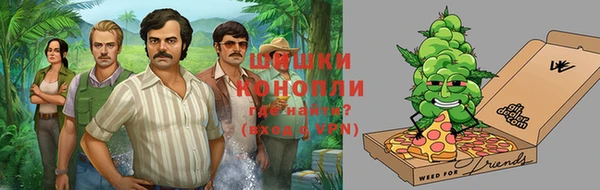 ПСИЛОЦИБИНОВЫЕ ГРИБЫ Верея