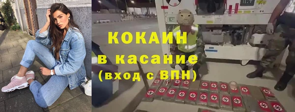ПСИЛОЦИБИНОВЫЕ ГРИБЫ Верея